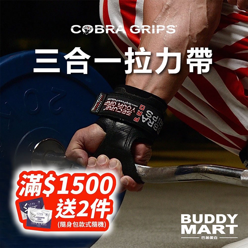 三合一拉力帶｜優惠推薦- 蝦皮購物- 2026年1月