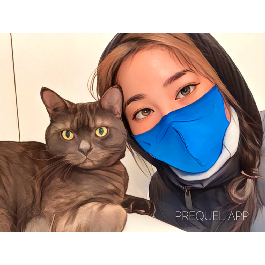 【猫の専門】新客家訪免費｜有良民證｜寵物到府保姆｜到府照顧｜專營松山區：含民生社區、南京三民、中山國中、小巨蛋等