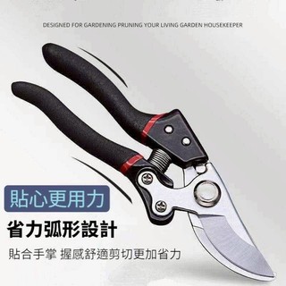 硬質SK5 樹枝剪 園藝剪 花剪 園藝剪刀 修枝剪 高枝剪 粗枝剪刀 修花剪刀 果樹剪