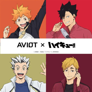 AVIOT X《排球少年!!》聯名款耳機 TE-Q3-HK 真無線藍牙耳機｜官方授權 耳機 真無線 聯名 台灣總代 現貨