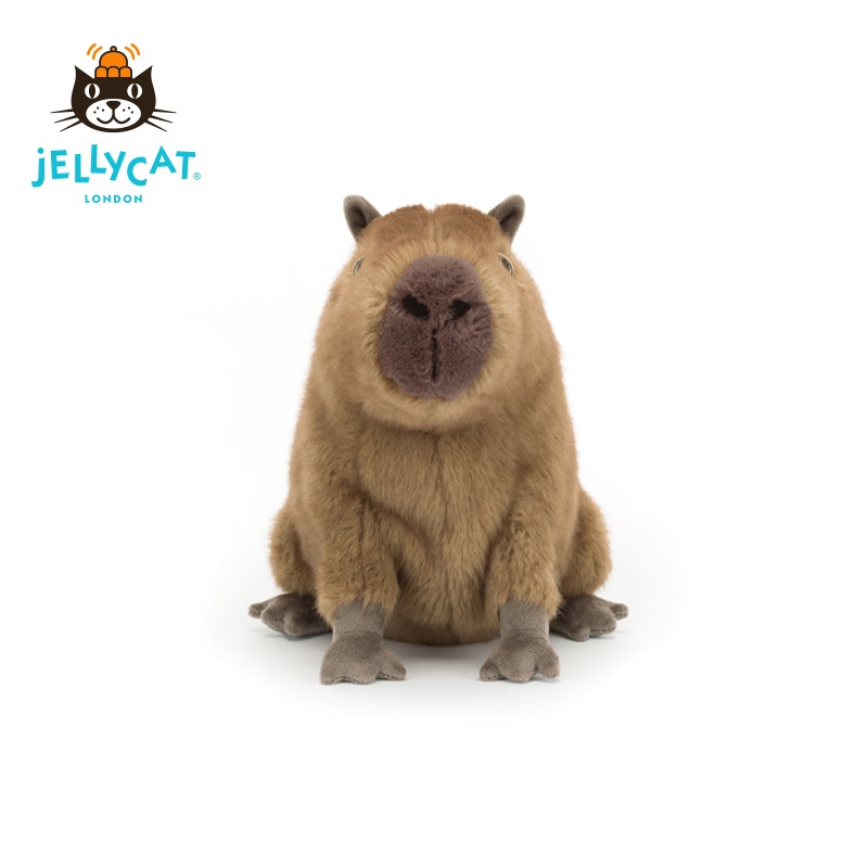 人氣爆款 jellycat 卡皮巴拉克萊德水豚 可愛柔軟安撫娃娃 節日禮物收藏 情侶兒童成長禮物 贈防塵袋