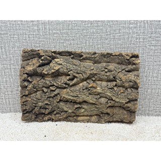 香檳樹皮 樹皮背板 樹皮板 爬蟲剛背板 香檳樹皮板 天然樹皮