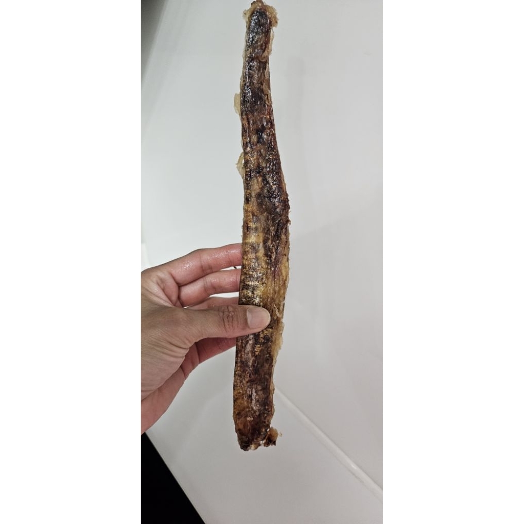 （一公克一塊錢）牛軟骨牛肋骨寵物零食香烤耐咬脆脆牛軟骨新品試賣