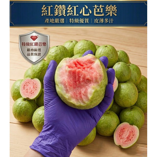 9/5採收開始📦【高山產地】紅鑽紅心芭樂 🍈（5/10/8斤裝）紅潤果心｜外脆內軟｜香甜多汁｜高山熟成