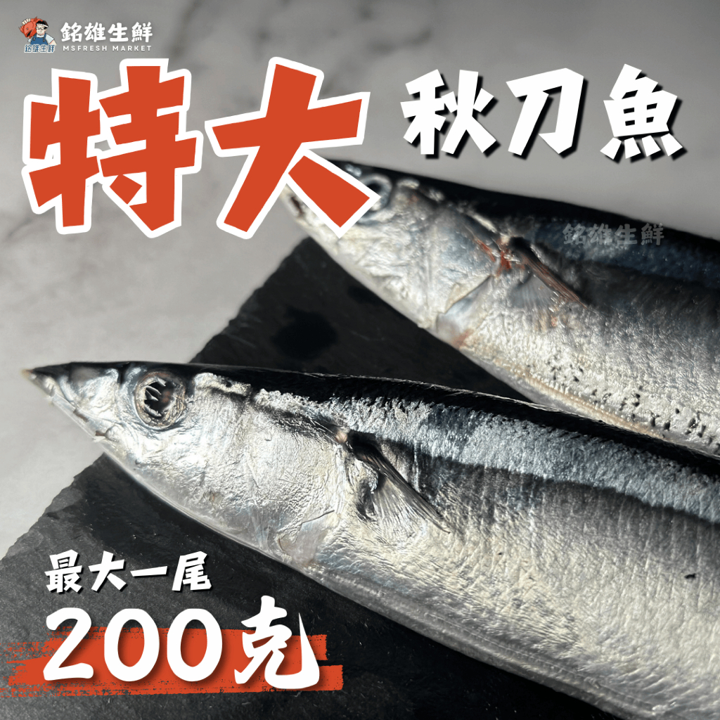 【銘雄生鮮】巨無霸秋刀魚 2025最新入港 最大重達200克 肉質肥美 表皮完整 特級秋刀 秋刀魚 烤秋刀魚 烤肉 秋刀