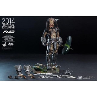 【卡比哈哈】全新 Hot Toys 1/6 MMS250 異形戰場 Ancient Predator 遠古終極戰士2.0
