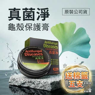 陸龜驛站｜真菌淨 烏龜 水龜 澤龜 陸龜 龜甲龜殼修復 龜殼保養 保護膏 角質化處理 箱龜