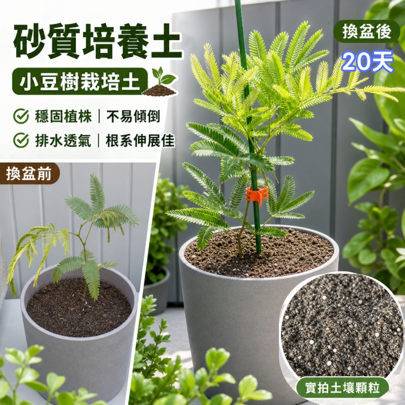 【花園城堡】達人配方 小豆樹栽培土 砂質培養土 實際栽培效果佳 日本小豆樹培養土 砂質土壤 雞髯豆樹 密葉猴耳環 含羞樹