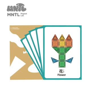 MNTL 創造力學習圖卡 20pcs 磁力片教學 1:1平面造型圖卡