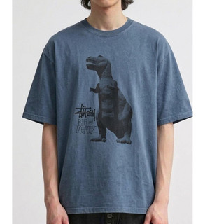 [IAD SHOP]現貨 STUSSY 2025 BIG & MEATY PIGMENT DYED 恐龍 TEE 短袖