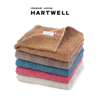 日本 HARTWELL 今治毛巾 原廠公司貨 CUOL 頂級柔軟吸水護髮毛巾 日本製
