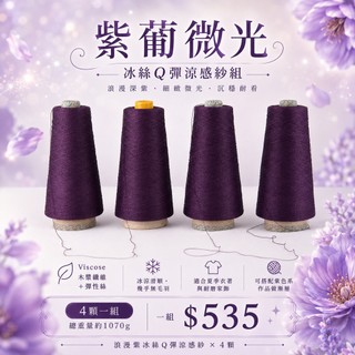 【愛紗屋】紫葡微光 深紫冰絲Q彈涼感紗組 4顆｜Viscose木漿纖維彈性絲 夏季罩衫背心上衣包包鉤針編織線