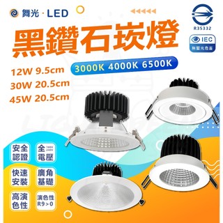 舞光 蝦幣回饋加碼 舞光 黑鑽石崁燈 9W 12W 30W 45W 黃光 自然光 白光 適用5米/舞光授權經銷商