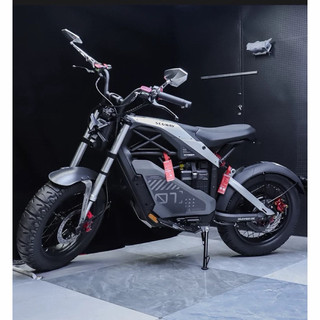 賽格威賽博segway XYBER 電動越野助力腳踏車單座/雙座鋰電池容量選項 ：單電池/雙電池48V30AH/60AH
