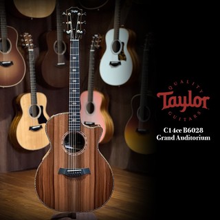 Taylor Custom C14ce B6028 GA Sinker Redwood / Walnut【又昇樂器】
