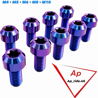 Ap_ride 鈦螺絲 M5 M6 M8 磁吸手機架專用螺絲 手機架鈦螺絲