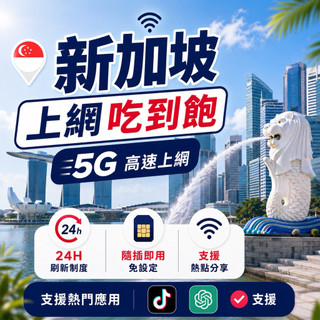 【Roava】新加坡網絡卡｜實體sim卡 新加坡sim卡 新加坡網路卡 新加坡sim 網路卡 網絡卡 sim卡 喫到飽