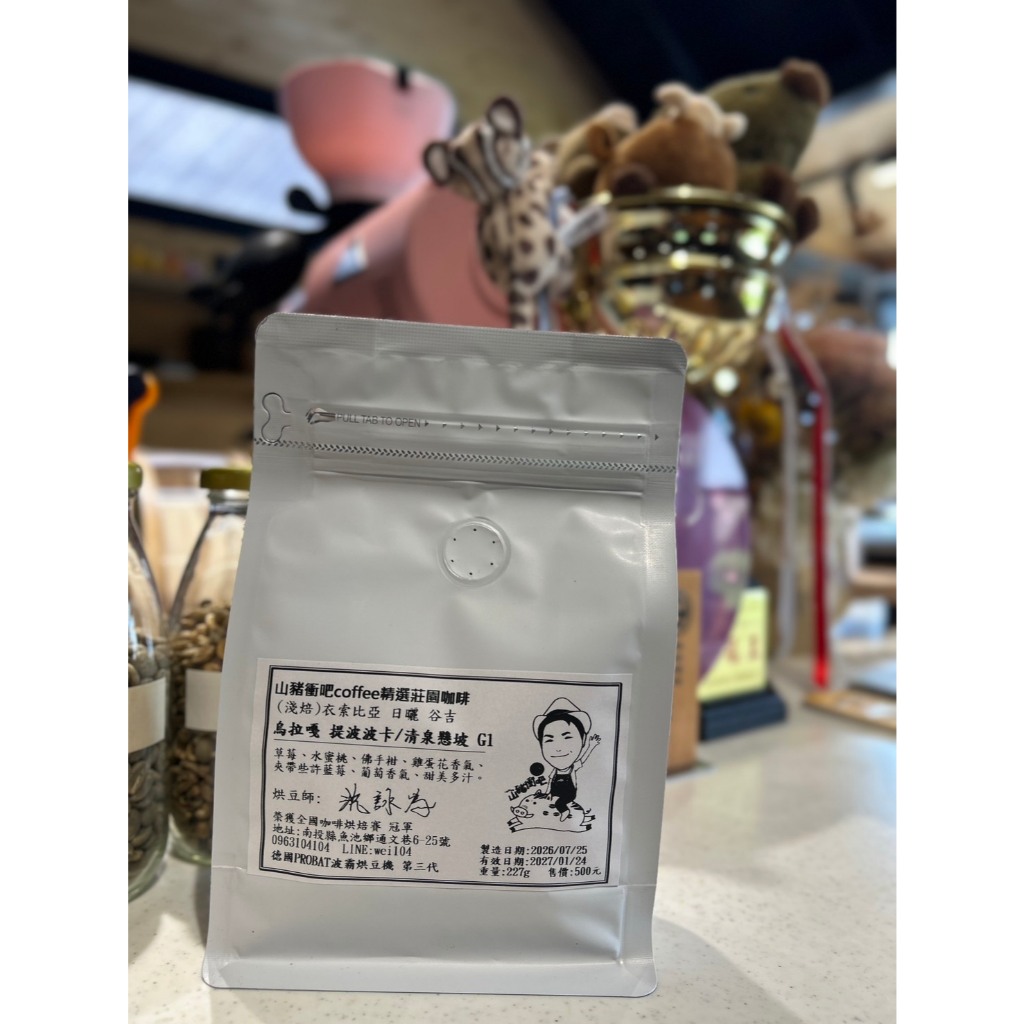 衣索比亞 日曬 古吉 烏拉嘎 提波波卡/清泉懸坡 G1 /咖啡豆/半磅/烘豆冠軍/全台第一台PROBAT P Serie