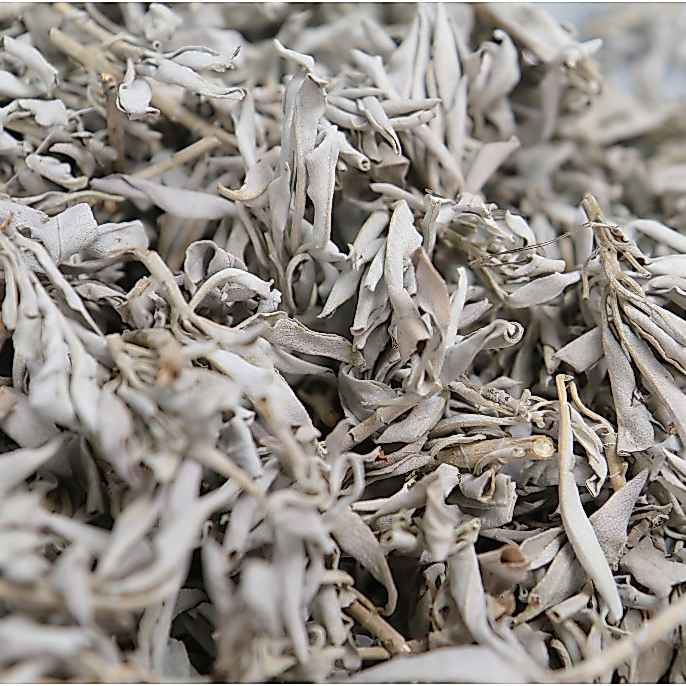 [光原力]美國加州進口  白鼠尾草 白色鼠尾草 白鼠尾草粉 散裝 50g 100g 買10送一