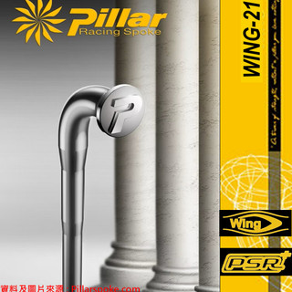 🧿輪組工廠🧿 Pillar Spoke Wing 21 輕量化風切窄扁不鏽鋼絲 自行車幅條