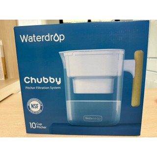 全新 EVERPURE愛惠浦 WATERdrop 圓滾滾濾水壺 PT-04 過濾 淨水 水壺