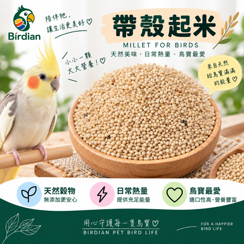 「養鳥人 birdian」小米 起米 帶殼小米 帶殼起米  600g 真空包裝 好消化 高適口 熱量來源 適合中小型