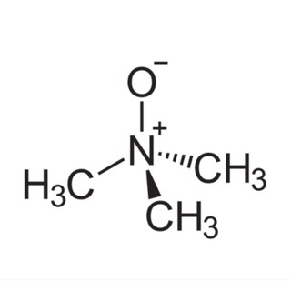 氧化三甲胺 TMAO 500g 1kg Trimethylamine N-oxide 魚餌釣高效能誘食劑