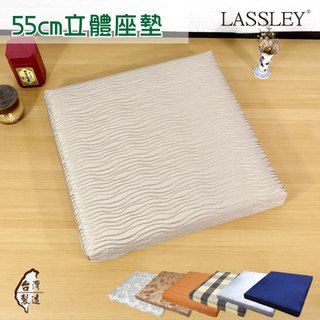 LASSLEY 立體座墊 "長寬55cm 厚度6cm" 大型座墊 方型坐墊 大厚墊 高支撐力 正方形 方墊 拆洗 台灣製