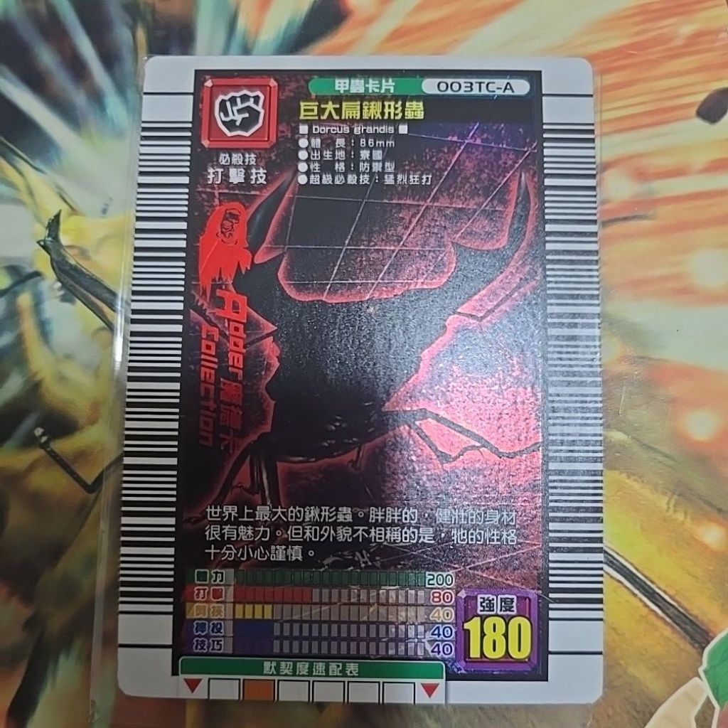 巨大扁鍬形蟲 魔德卡甲蟲王者 可議