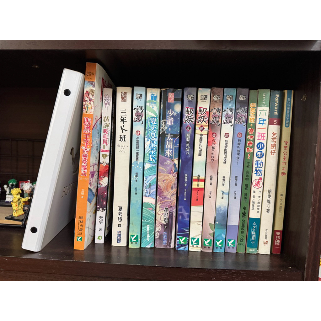 夏茗悠 再見冥王星、三年K班/乞丐囝仔/泡菜公主打工趣/四年五班魔法老師/腹黑王子的戀愛魔咒/情迷吸血殿/