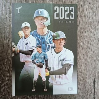 CPBL 2023 TEAM CARD TSG HAWKS 台鋼雄鷹隊團隊卡