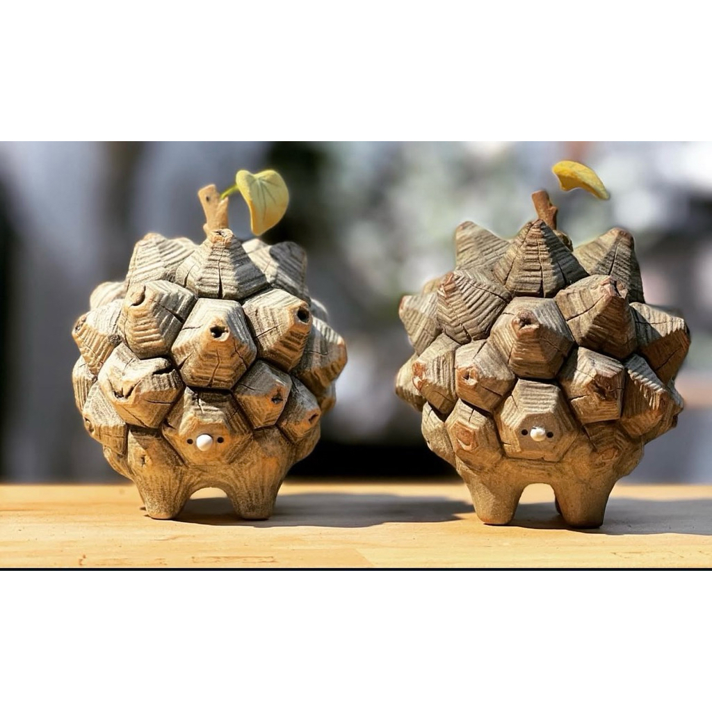 羅本製所COPIAPOA MONSTER Blue Skinned Hybrid COPIAPOA MONSTER 】 COPIAPOA MONSTER Blue Skinned Hybrid flower