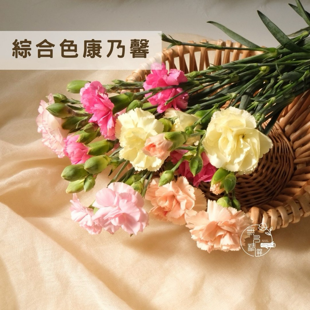 現貨🔺 隨機顏色 開發票 康乃馨花束｜60支起批發｜母親節禮物 鮮花花束｜不挑色｜平價花束｜快速出貨