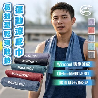 ADISI WINCOOL長效型乾爽散熱運動涼感巾｜登山 健走 馬拉松 健身 運動毛巾 抑菌 城市綠洲