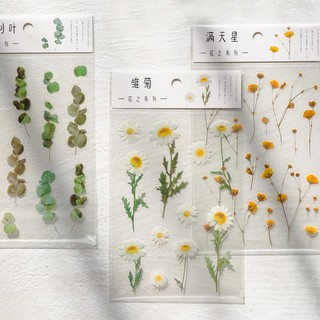【久大文具】紙先生貼紙 花之系列(特價) 貼紙 透明貼紙 裝飾貼 手帳貼 造型貼 花草 @1404