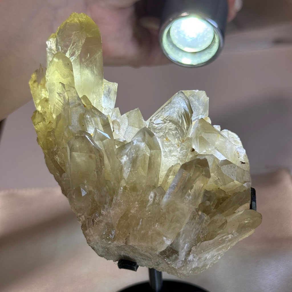 b款 天然黃水晶 透料 萌芽晶簇 黃水晶原礦8*9*16cm 附黑架 黃水晶擺件 優惠價 招財擺件 天然黃 現貨實拍