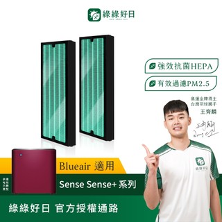 適用 Blueair Sense Sense+系列 空氣清淨機 HEPA高效抗菌濾網 綠綠好日