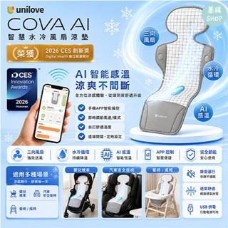 韓國 Daiichi 空氣清淨3D立體循環涼墊 3代 透氣涼墊 三段控制 USB風扇 汽座 推車 新生兒