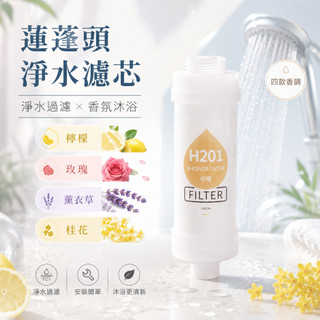 蓮蓬頭淨水濾芯 香氛濾芯 蓮蓬頭濾芯 沐浴過濾器 淋浴過濾器 香氛濾芯 香氛過濾器 除氯濾芯