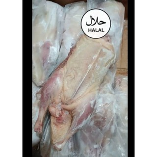 halal ] bebek 1 ekor Duck Meat/Duck Duck Meat