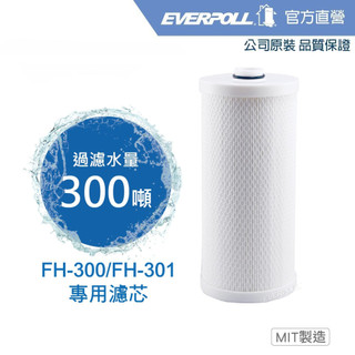【EVERPOLL】 傳家寶全戶濾淨專用濾芯(FH-030)