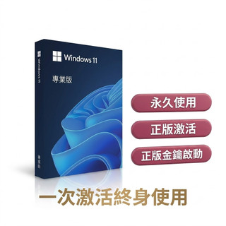 【現貨當天出貨 】windows 11專業版 永久買斷版 家用版 Win10 Pro專業版 office 盒裝版