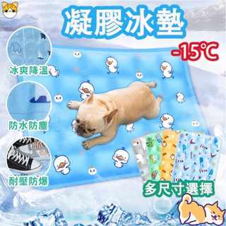 🎉現貨🎉貓咪涼墊 寵物涼墊 冰涼涼墊 寵物冷凝墊