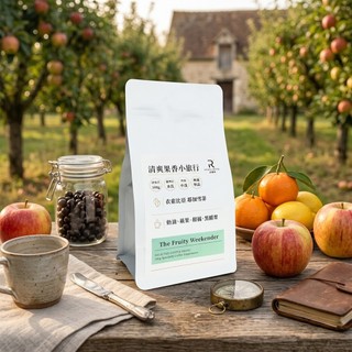 COFFEE RICH-IN 富咖啡 清爽果香小旅行咖啡豆 水洗 中淺焙 100g《拾光玻璃》