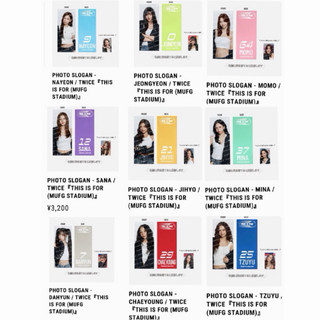 現貨速出🩷TWICE 新國立 sana 紗 娜璉 定延 志效 桃 momo 南 mina 多賢 子瑜 手幅