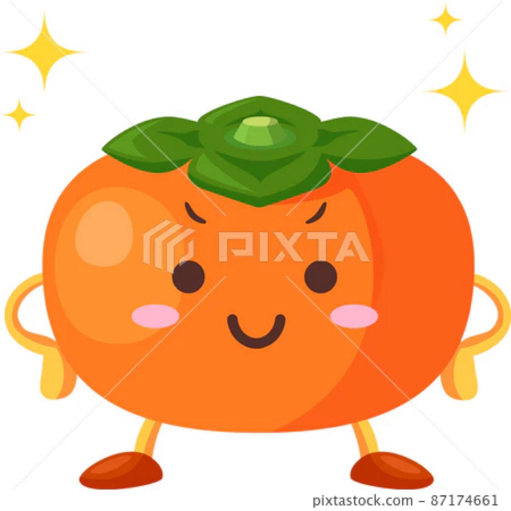 {新埔柿餅} 台灣 新竹縣新埔鎮 精選傳統柿餅 筆柿柿餅 全新上市 盒裝 冷凍配送 下單請問小助手