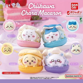 BANDAI日本扭蛋chiikawa吉伊卡哇馬卡龍造型全4款