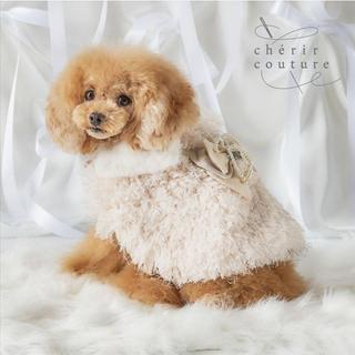 【PET PARADISE】寵物緞帶披肩/白 (DS)｜cherircouture 2026全新春裝系列 寵物高級面料