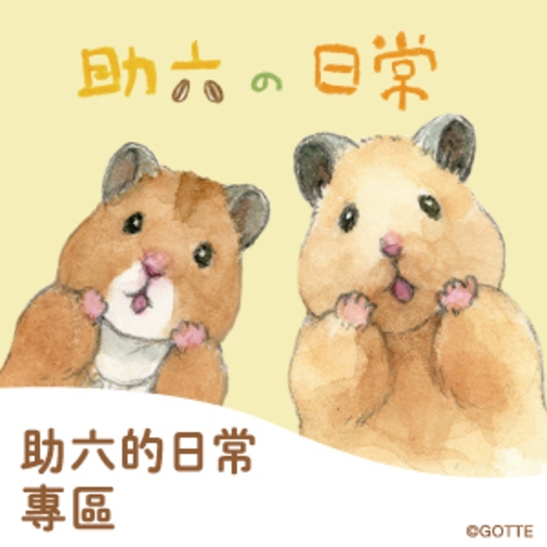 【Miravivi】助六的日常-拍攝樣品/展示品下殺大優惠出清*下單前請詳閱商品說明*