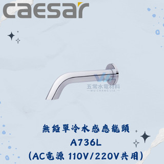 凱撒 CAESAR A736L A736LDC 無鉛單冷水感應龍頭 全配 感應龍頭 無排水部 凱撒龍頭 凱撒單冷水感應